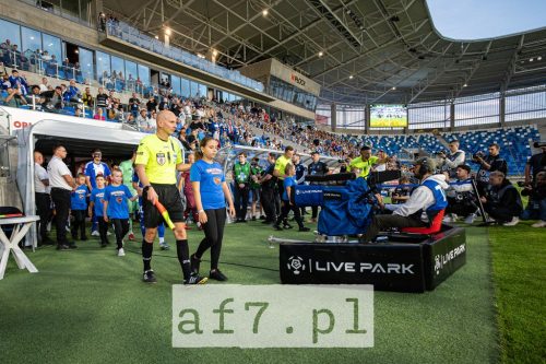 20250601AF7 PS002