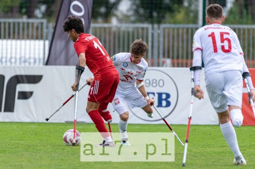 DSC 0311 af7pl