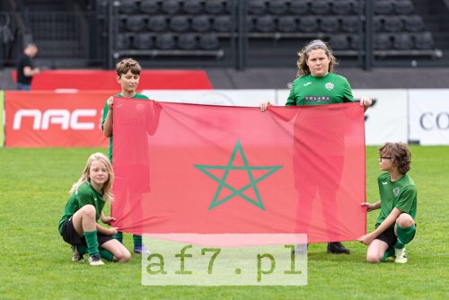DSC 0335 af7pl