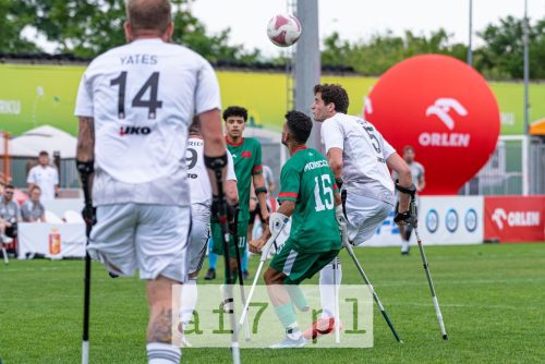 DSC 0770 af7pl (1)