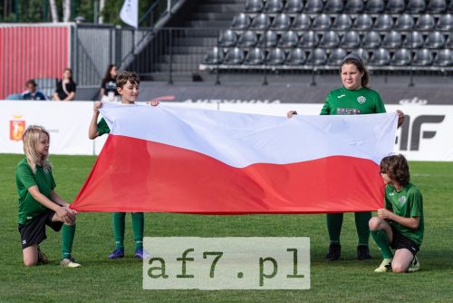 DSC 0905 af7pl
