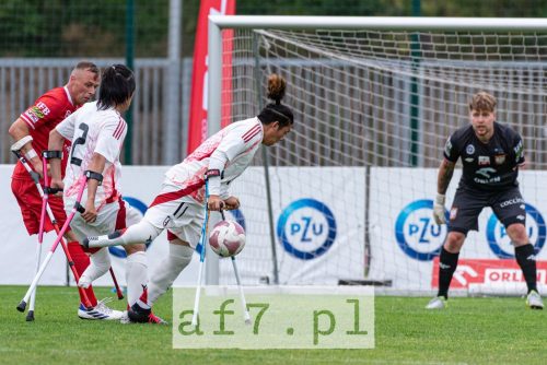 DSC 1446 af7pl