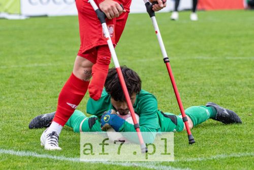 DSC 1531 af7pl