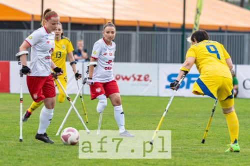 DSC 1842 af7pl