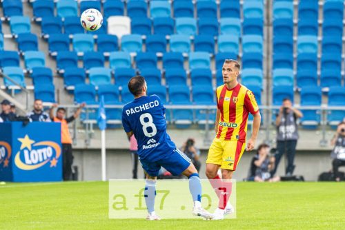 DSC 2732 af7pl (1)