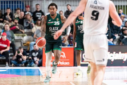 28032025 dziki slask