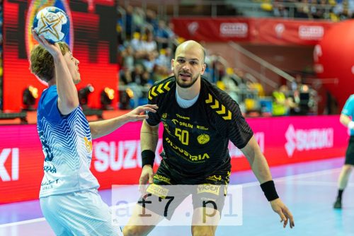 DSC 3736-Poprawione-Szum af7pl