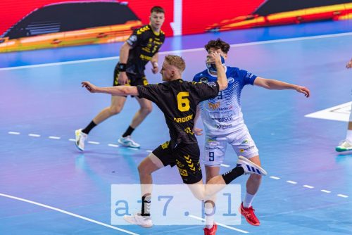 DSC 3784-Poprawione-Szum af7pl