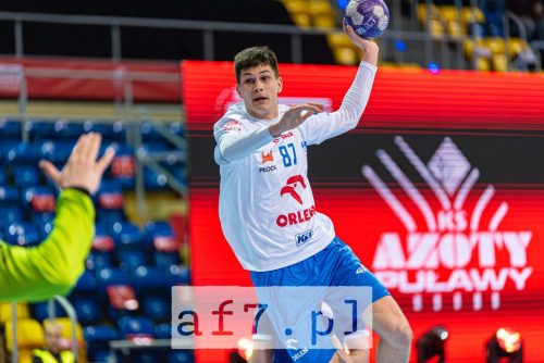 DSC 4137-Poprawione-Szum af7pl