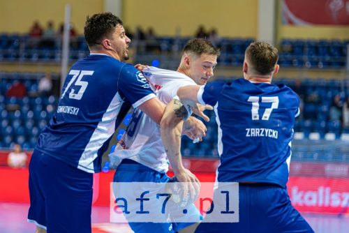 DSC 4242-Poprawione-Szum af7pl