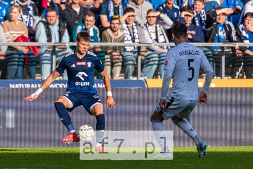 DSC 4416 af7pl (1)