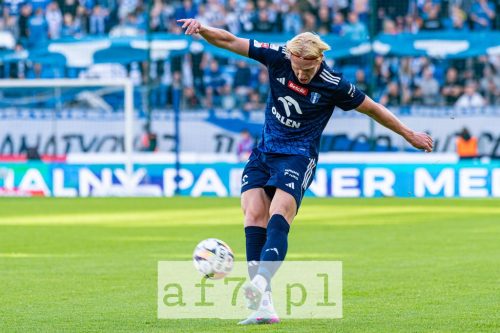 DSC 4430 af7pl (1)
