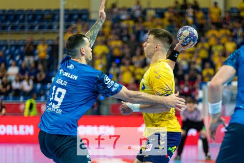 DSC 4700-Poprawione-Szum af7pl