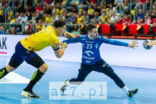 DSC 4858-Poprawione-Szum af7pl