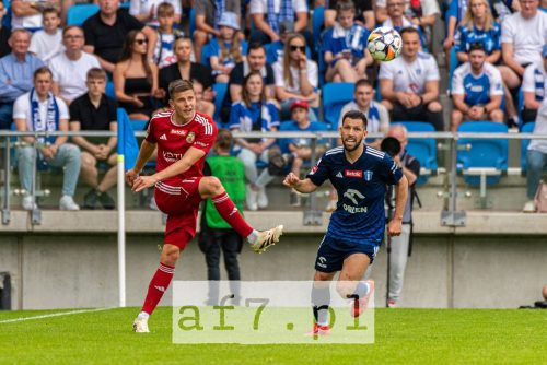 DSC 5225 af7pl