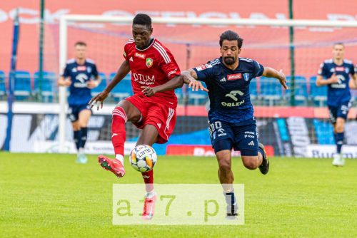 DSC 5738 af7pl (1) (1)