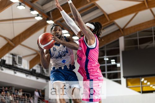 29092025 dziki rigas