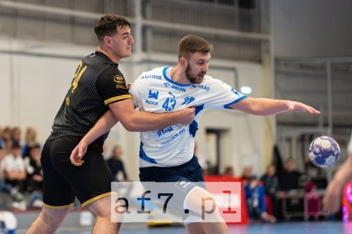 DSC 5987 af7pl (1) (1)