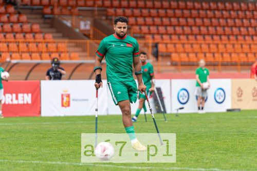 DSC 8458 af7pl
